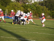 Enlarge photo 264