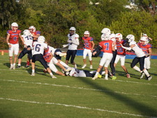 Enlarge photo 265