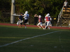 Enlarge photo 295