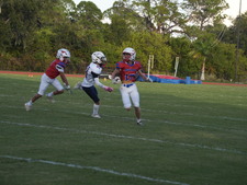 Enlarge photo 308