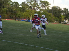 Enlarge photo 313