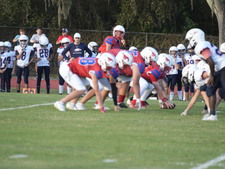 Enlarge photo 337