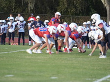 Enlarge photo 338