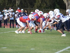 Enlarge photo 340