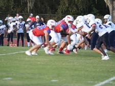Enlarge photo 341