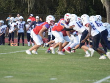 Enlarge photo 342