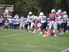 Enlarge photo 347