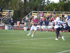 Enlarge photo 373