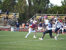 Enlarge photo 374