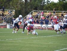 Enlarge photo 380