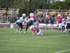 Enlarge photo 379