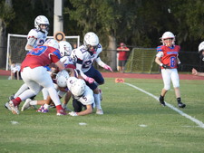 Enlarge photo 413