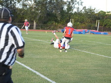 Enlarge photo 429