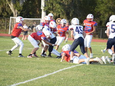 Enlarge photo 439