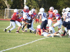 Enlarge photo 438