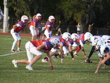 Enlarge photo 441