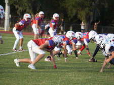 Enlarge photo 442