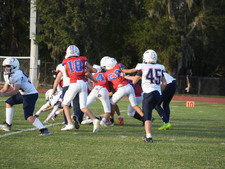 Enlarge photo 445