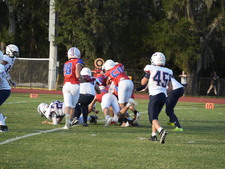 Enlarge photo 447