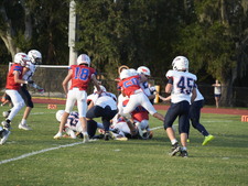 Enlarge photo 449