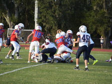 Enlarge photo 450