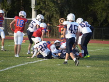 Enlarge photo 451