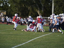 Enlarge photo 473