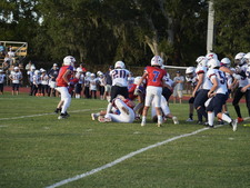 Enlarge photo 474