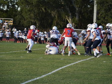 Enlarge photo 475