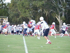 Enlarge photo 522