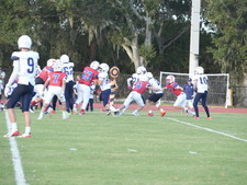 Enlarge photo 521