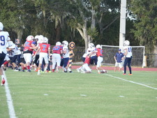 Enlarge photo 527
