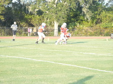 Enlarge photo 532