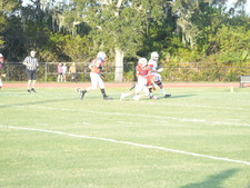 Enlarge photo 533
