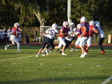 Enlarge photo 542
