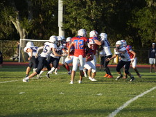 Enlarge photo 546