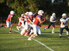 Enlarge photo 566