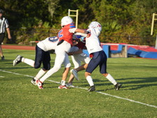 Enlarge photo 572