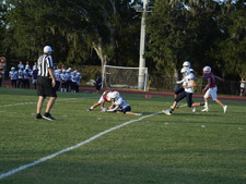 Enlarge photo 598