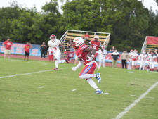 Enlarge photo 45