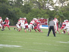 Enlarge photo 113