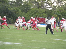Enlarge photo 114