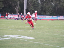Enlarge photo 246