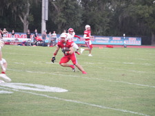 Enlarge photo 248