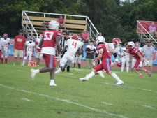Enlarge photo 374