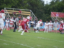 Enlarge photo 381