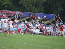 Enlarge photo 445