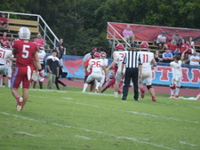 Enlarge photo 450