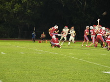 Enlarge photo 1137