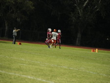 Enlarge photo 30
